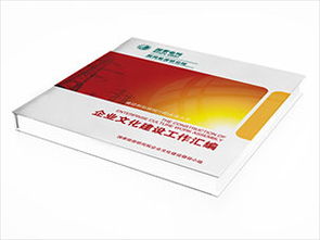 品牌视觉的科技跃迁 北京国信创新科技公司画册设计案例赏析