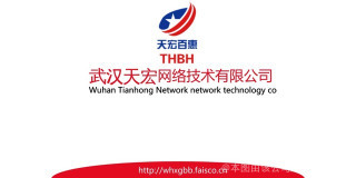 武汉天宏科技
